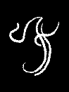 Fire rune