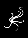 Water rune